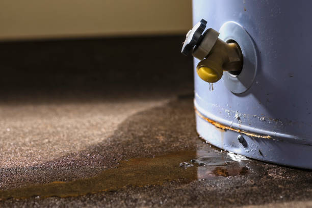 Best Water damage cleanup near me  in Tybee Island, GA