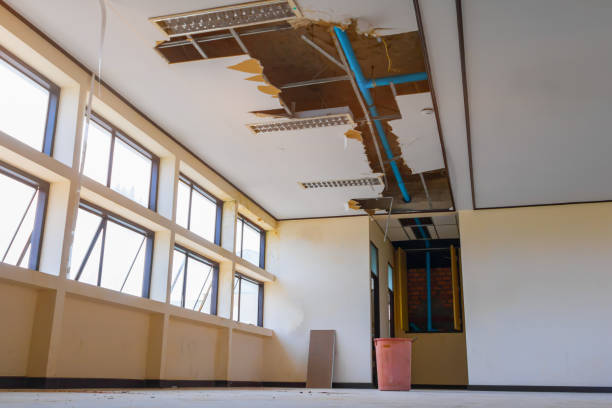 Best Fire Damage Restoration  in Tybee Island, GA