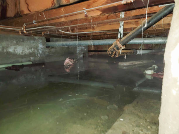 Best Water damage contractors near me  in Tybee Island, GA