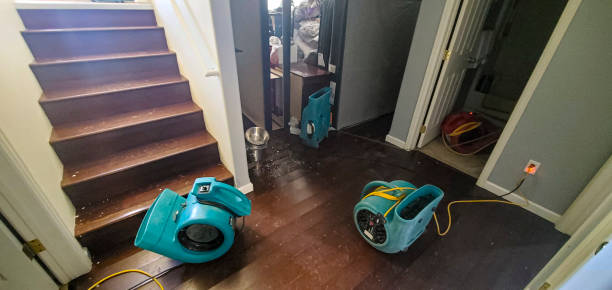 Best Flood restoration services  in Tybee Island, GA