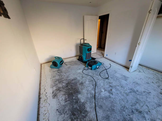 Best Flood damage cleanup  in Tybee Island, GA