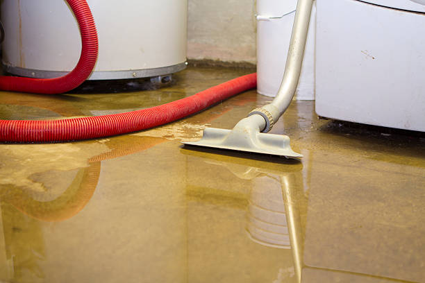 Best Local water damage restoration  in Tybee Island, GA