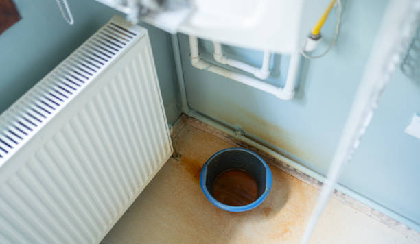 Best Flood restoration services  in Tybee Island, GA