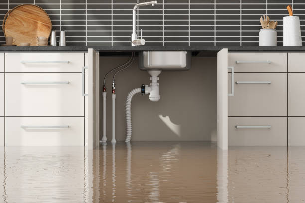 Best Flooded house restoration  in Tybee Island, GA