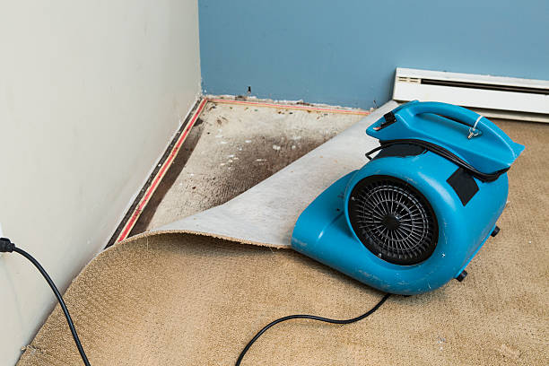 Best 24/7 water damage repair  in Tybee Island, GA