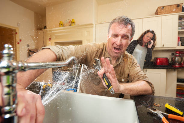 Best Professional water damage repair  in Tybee Island, GA